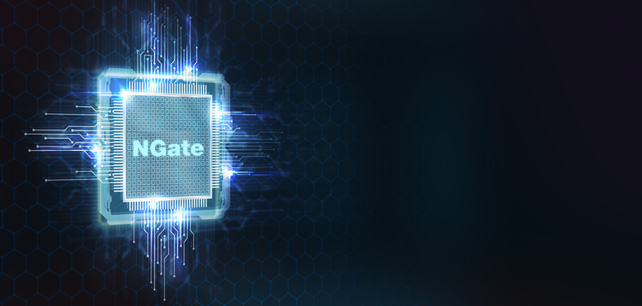 Официальная иллюстрация КриптоПро NGate