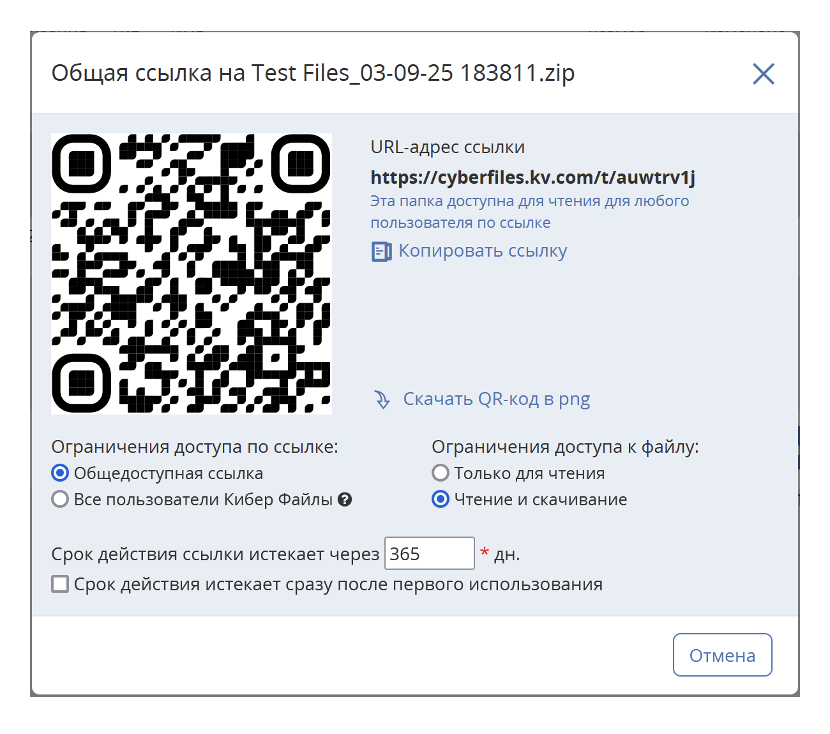 Интерфейс или официальная иллюстрация Кибер Файлы