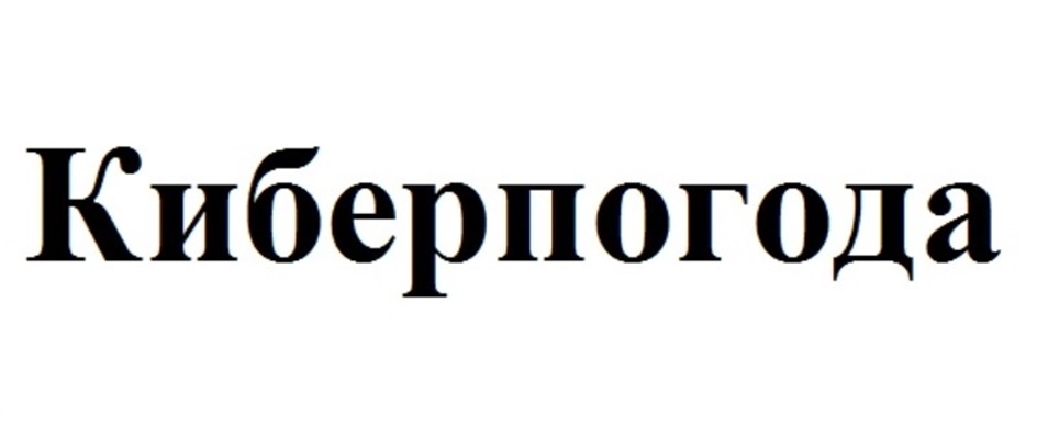 Зарегистрированный словесный знак Киберпогода
