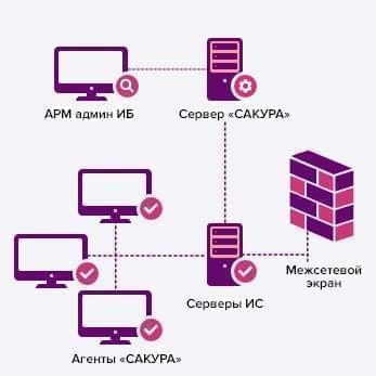 Схема САКУРА